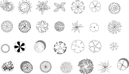 sketch vector illustration of plant symbol icon top view