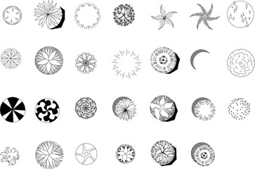 Obraz premium sketch vector illustration of plant symbol icon top view
