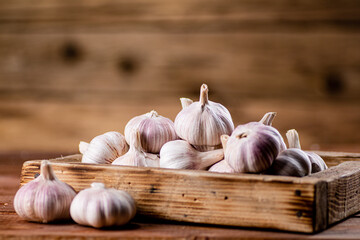 Fragrant garlic on a wooden tray. 
