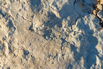 Desert stone with visible cracks and fractures on the ground in a natural area of the sonora desert