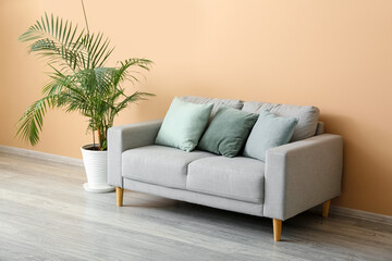 Grey sofa with cushions and palm tree near beige wall