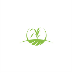 Agriculture logo design, agronomy, wheat farm, rural country farming field, natural harvest vector.