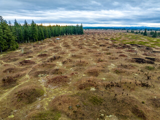 Mima Mounds Aerial