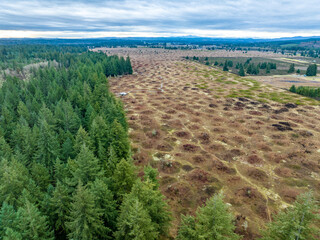 Mima Mounds Aerial