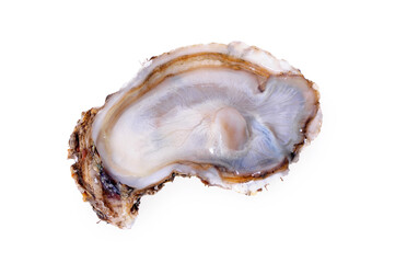 Fresh opened oyster on white background