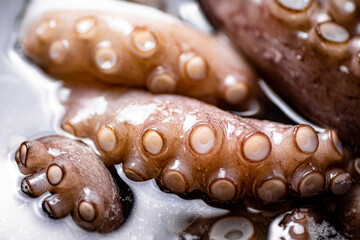 The tentacles of the octopus are boiled in water.