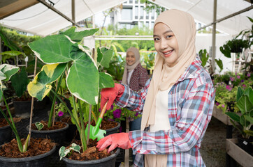 Asian Young Adult farmer couple Muslim woman is helping to maintain an orchid garden for sale to customers. Happy cheerful girlfriends in garden center.