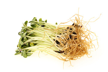 Black bean sprouts on white background