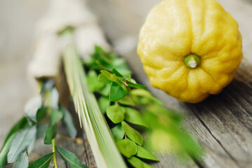 Lulav and Etrog, Symbols of the Jewish Festival of Sukkot