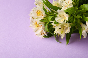 Bouquet of beautiful alstroemeria flowers on lilac background, closeup