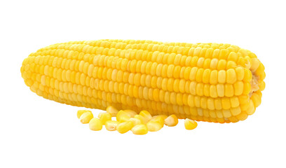 Boiled corn transparent png