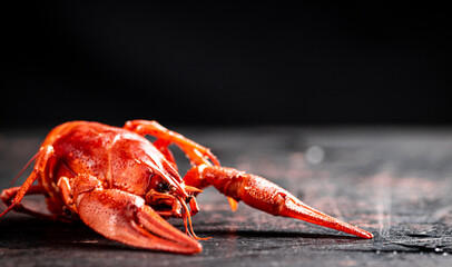 One red boiled crayfish on the table.
