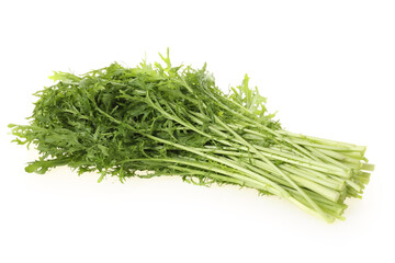 Shungiku, also known as tong hao, or edible chrysanthemum, Isolated on white. A leaf herb commonly used in asian food