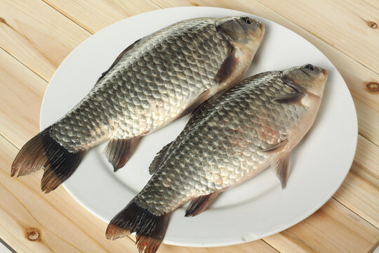 Raw fish carp on white background 