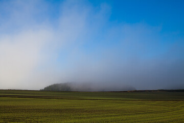 Autumn field smoldering in the morning mist