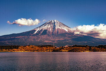 Fototapeta premium 田貫湖から望む富士山