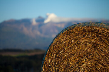 Evening Straw Roll and Tokachi mountain range