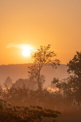 Fototapeta na wymiar Sunrise in the Cambodian countryside