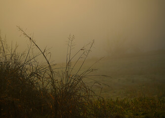 sunrise and fog in a rural area.