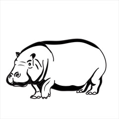 a hippopotamus in vector art illustration design for coloring book
