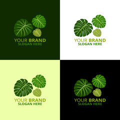 Monstera logo template green leaves logo