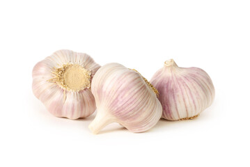 garlic isolated on white