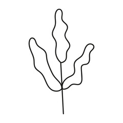 Hand drawn branch with leaves