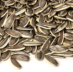 sunflower seeds background