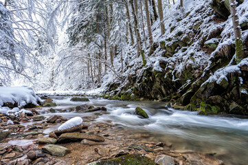 Forest mountain stream in winter. "Hylaty" brook in the Bieszczady Mountains in Carpathians.