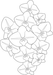 Easy flower coloring page, orchid flower bouquets hand drawn illustration vector art.
