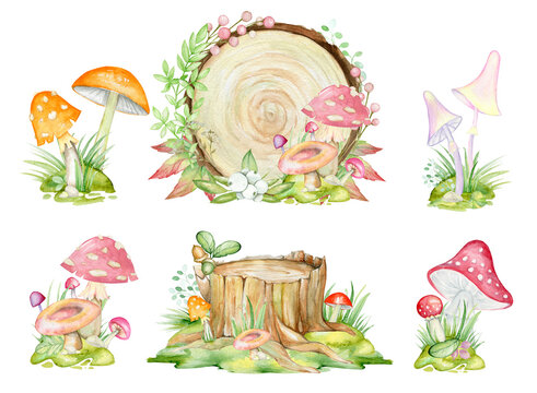Grass, branches, mushrooms, leaves, on the background of a tree. Watercolor set, on an isolated background.