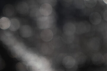 Circular bokeh spreads across the background.