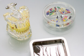 Jaw exhibit and Dental tools on a glass table