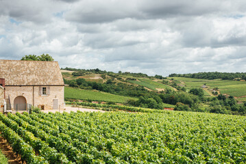 Fototapeta na wymiar vue panoramique d'un domaine viticole en Bourgogne. Une maison et des vignes en Côte-d'Or.