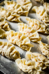Raw dumplings gyoza on a baking sheet. 