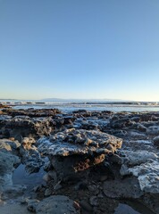 Reef tide pools at New Brighton State Beach, California, coastal rocks, pacific coast tide pools