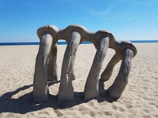 whale bones rib cage at beach with water
