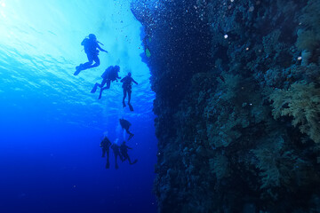 Naklejka na ściany i meble group of divers depth bubbles dive