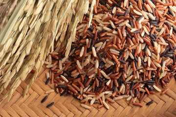 Raw three color jasmine rice.Thai rice grains