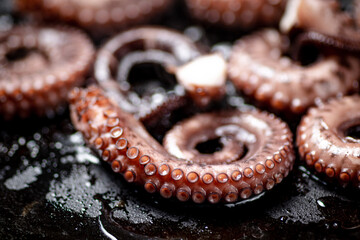 Pieces of fresh octopus. On a black background.