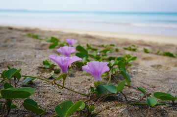 Colourful day on the beach