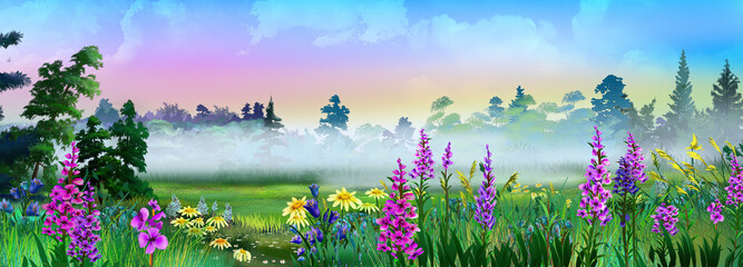 Morning fog over a flowering meadow