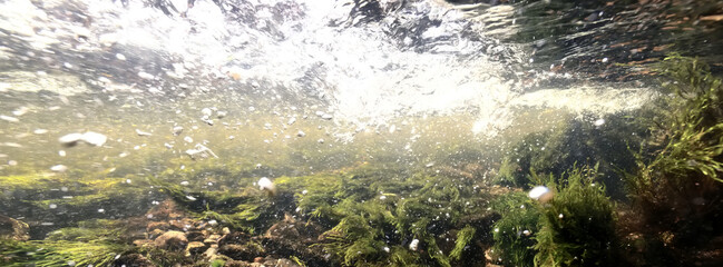 fast stream with clear fresh water underwater photo