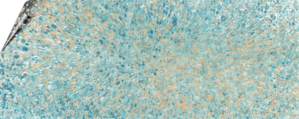 unique background design of paint splashes and brush strokes with transparent media and page curl