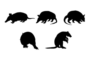 Set of silhouettes of armadillos vector design