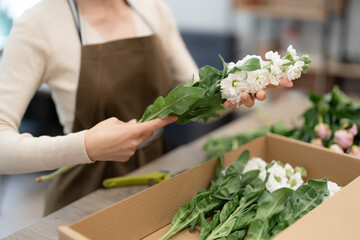 Florist working with flowers making a composition