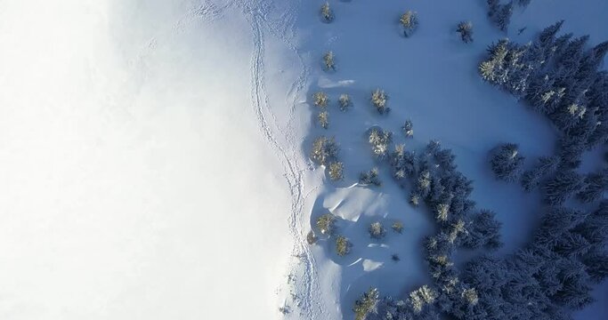Aerial top drone view of snow ridge with trees and a trail  during a sunny day at winter, Ciucas, Romania