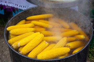 a pot of boiled corn at an autumn fair