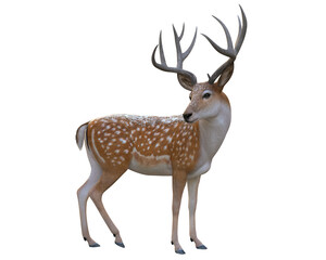 3d render  deer faun winter creature