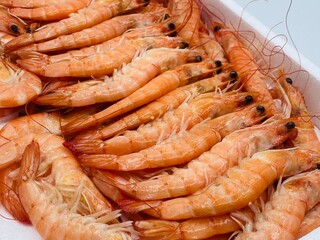 Langostino cocido blanco
